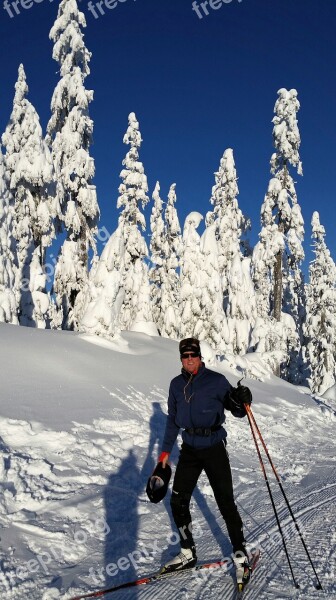 Cross Country Skiing Snow Cross Country Skiing Activity