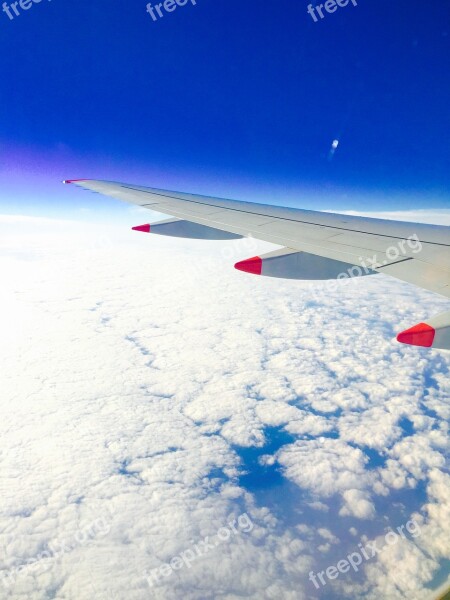 Fly Plane Sky Cloud Airplane