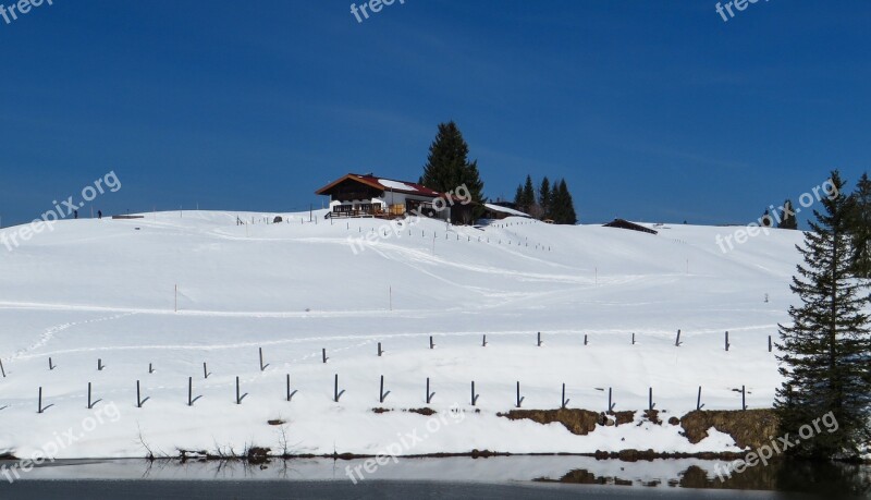 Winter Snow Wintry Nature Winter Dream