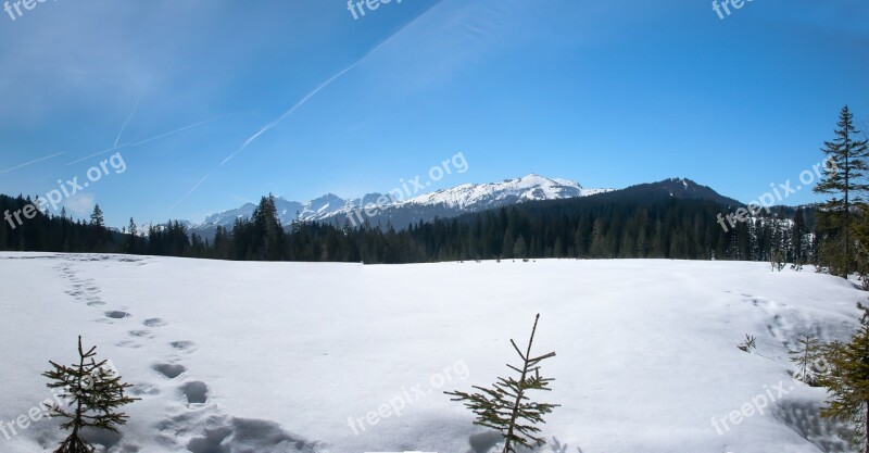 Winter Snow Wintry Nature Winter Dream