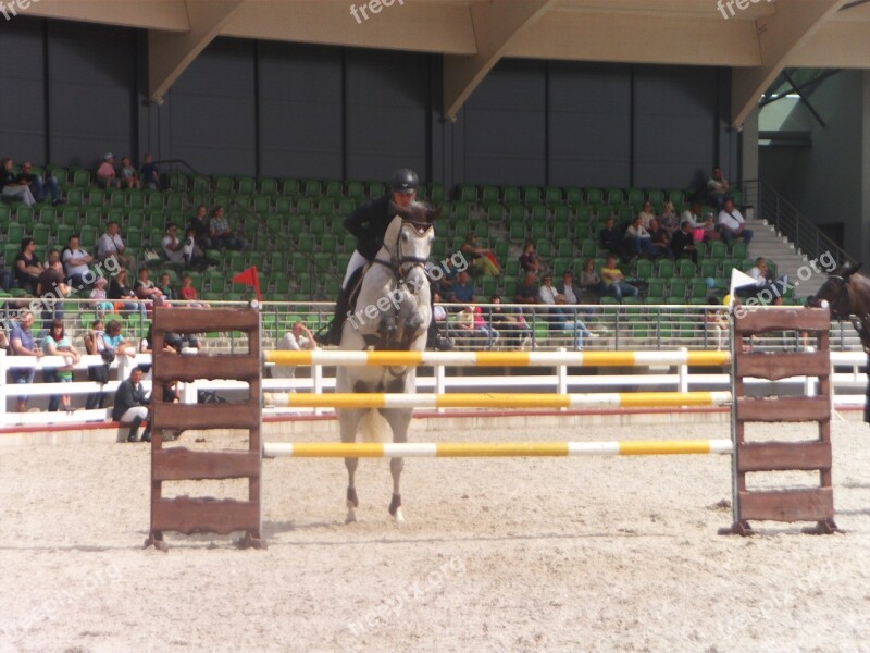 Ride Riding Show Jumping Park Action