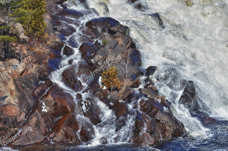 Tree Waterfall Survive Water Nature