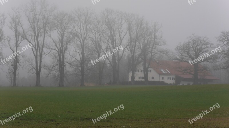 Fog Landscape Nature Away Forest Path