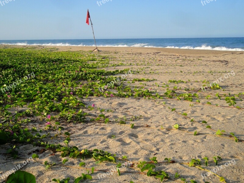 Beach Sea Rest Unaffected Nature