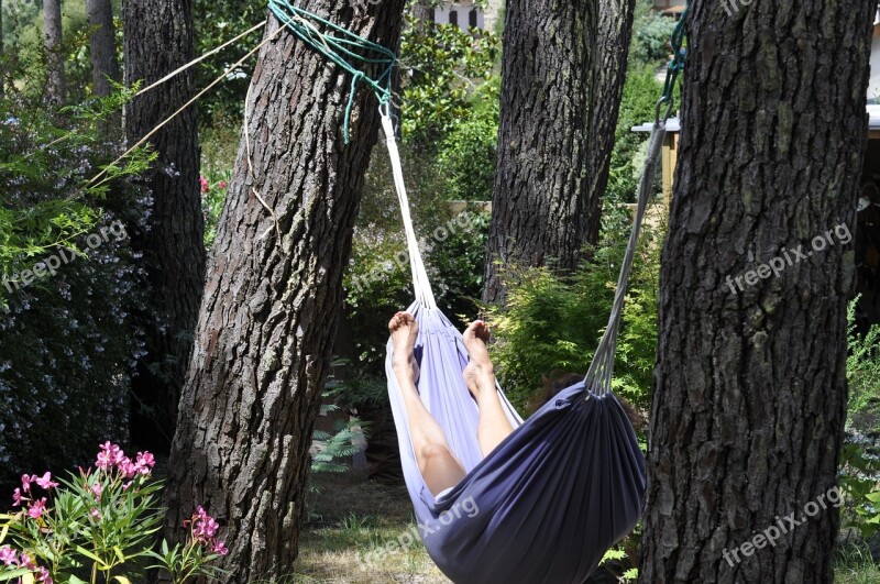 Nap Hammock Idleness Relaxation Free Photos