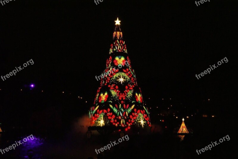 Christmas Tree Light Up Night Free Photos