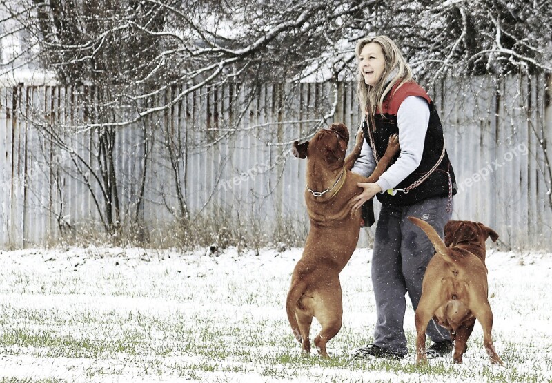 Snow Dog Bordeaux Dogue White