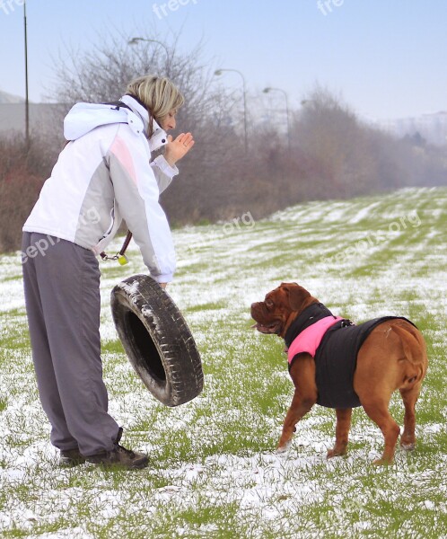 Snow Dog Bordeaux Dogue White