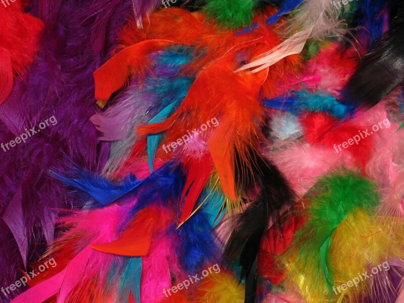 Feather Colorful Feathers Carnival Stoles Colorful