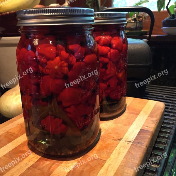 Pepper Canning Jars Free Photos