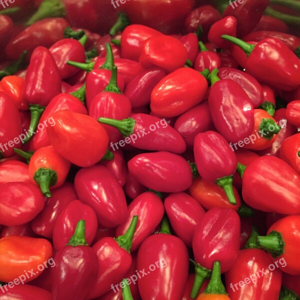 Hot Peppers Chili Hot Spices Free Photos