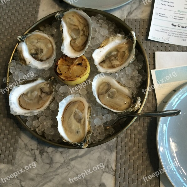 Oysters Seafood Shellfish Free Photos