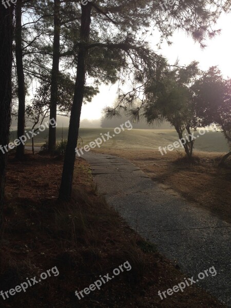 Path Golf Green Course Landscape