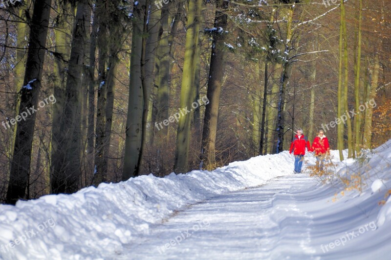 Snow Hiking Tourist Nature Cold