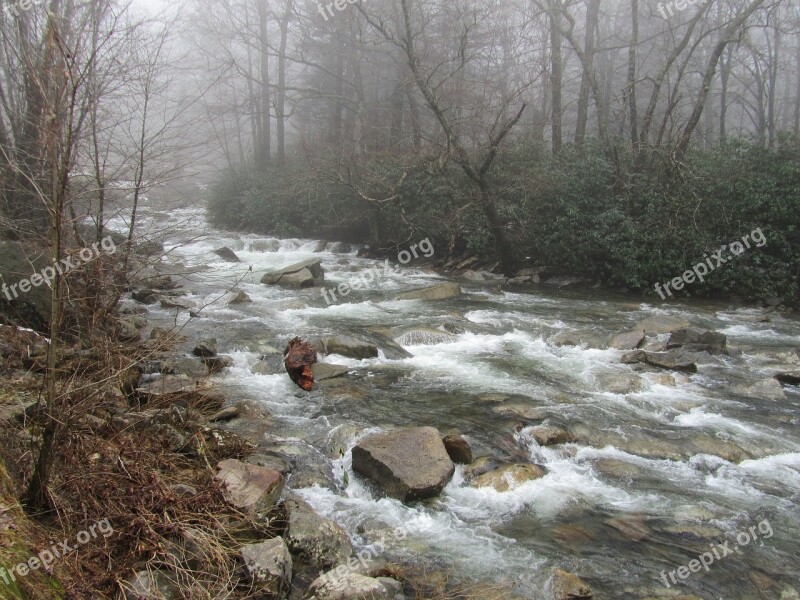 Fog Creek Nature Landscape Water