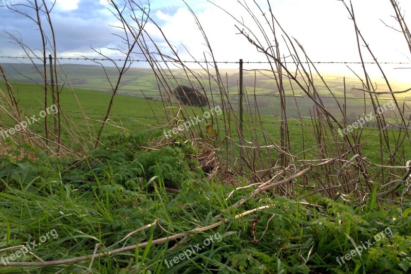 Nature Background Field Natural Scenic Countryside