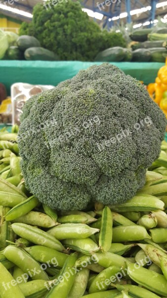 Broccoli Green Vegetables Food Healthy