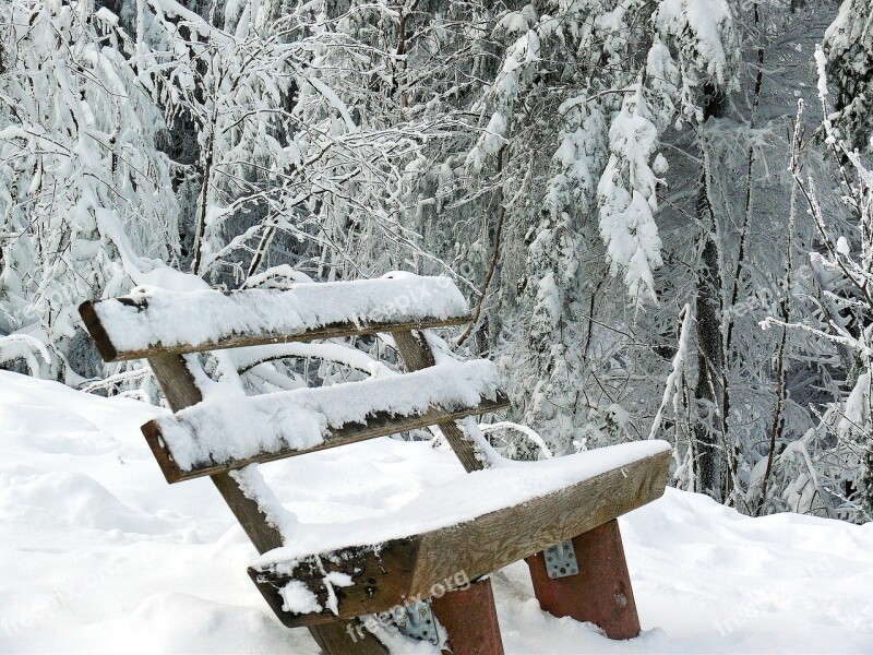 Winter Winter Idyll Landscape Trees Nature