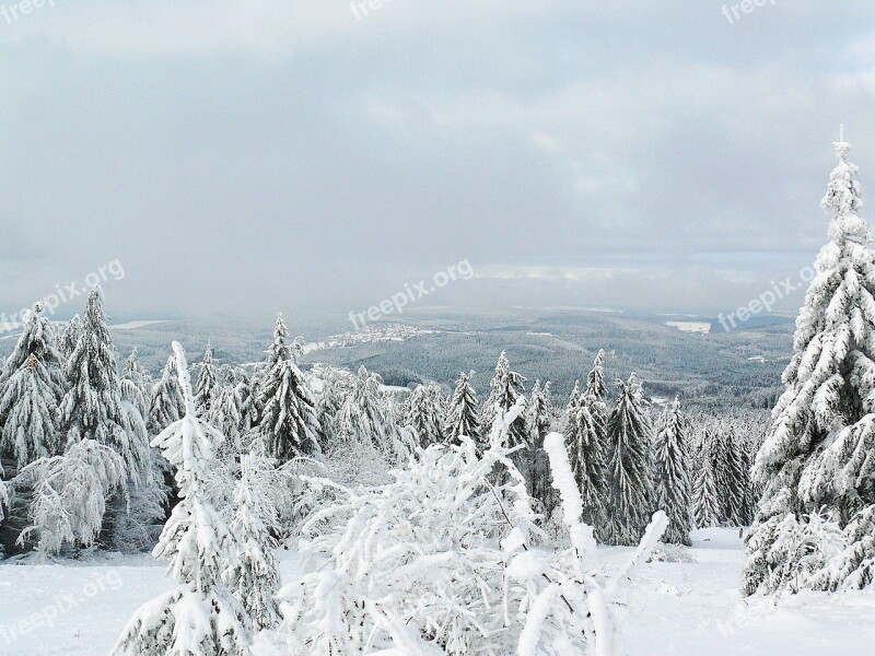 Winter Winter Idyll Landscape Trees Nature