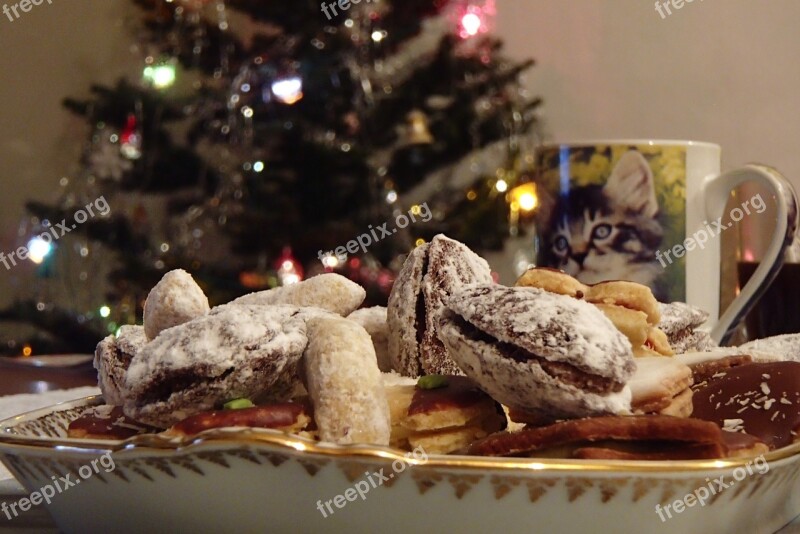 Christmas Sweets Cup Christmas Cookies Christmas Time