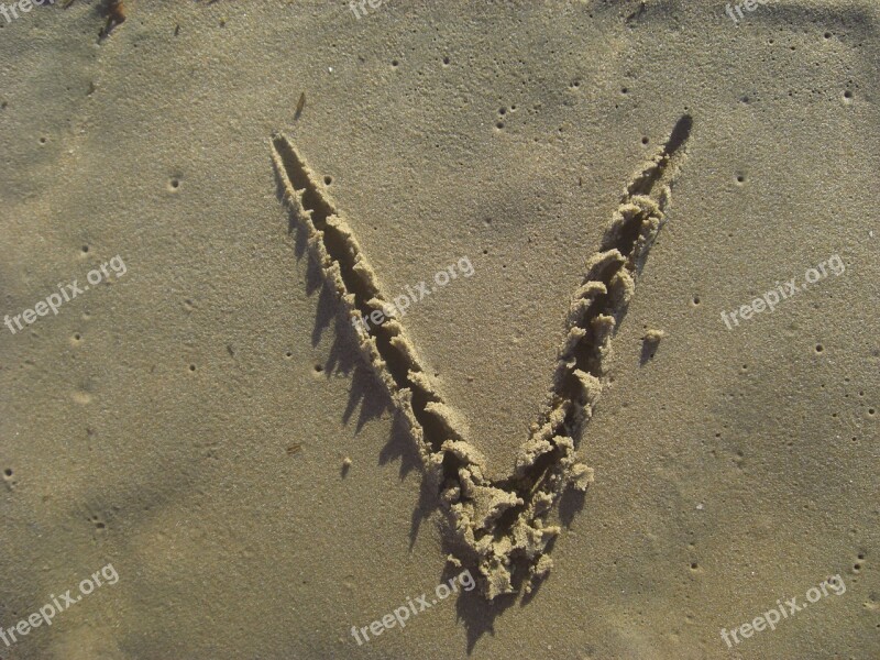 Letter V Sand Stick Beach Alphabet