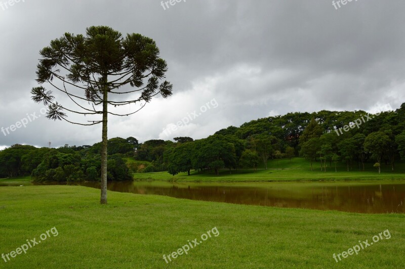 Landscape Lawn Green Trees Grass