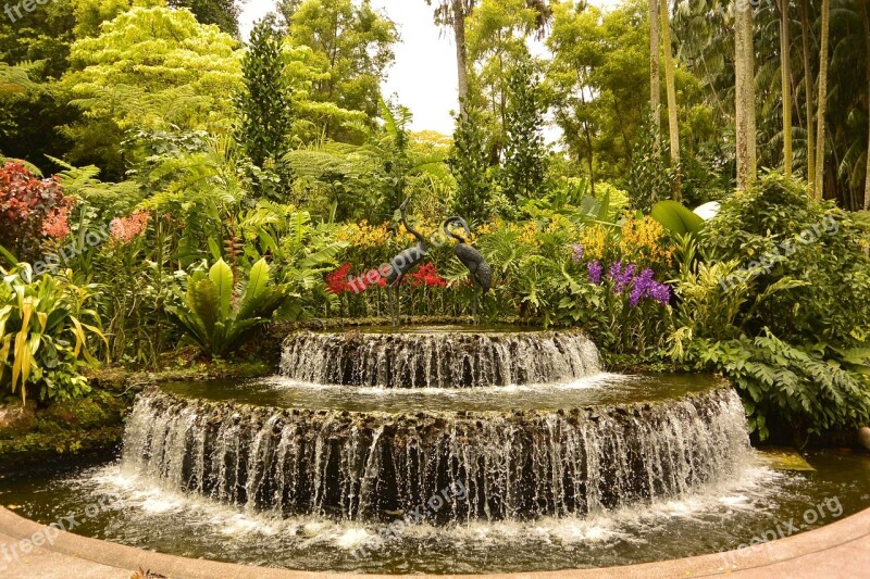 Singapore Botanical Garden Fountain Free Photos