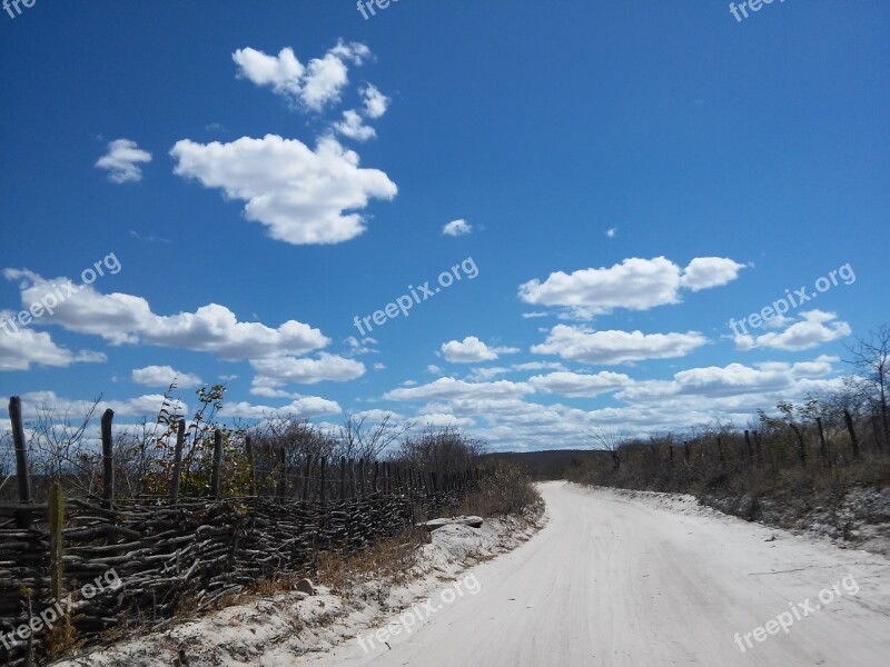 Road Caatinga Semiarid Ceara Quiterianópolis