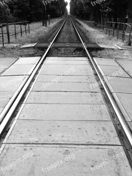 Train Travel Tracks Rails Rail