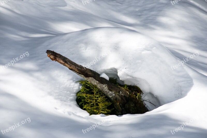 Winter Snow Wintry Nature Winter Dream