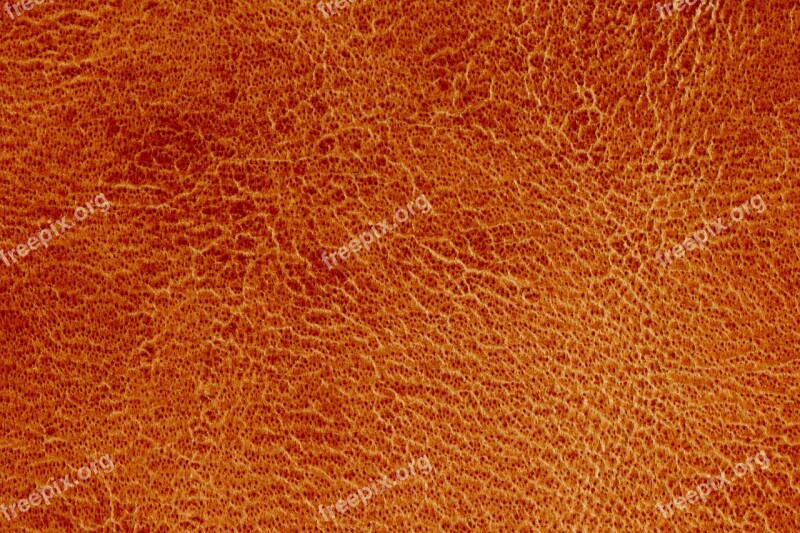 Leather Texture Wallpaper Background Nature