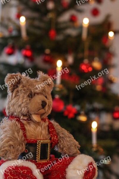 Teddy Christmas Candles Soft Toy Antique