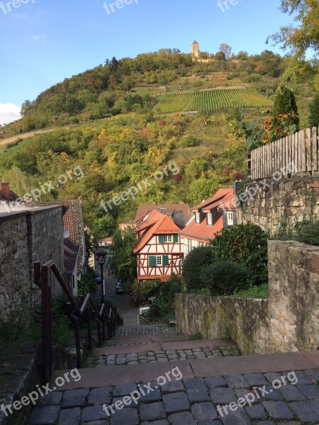 Vineyard Hesse Heppenheim Free Photos