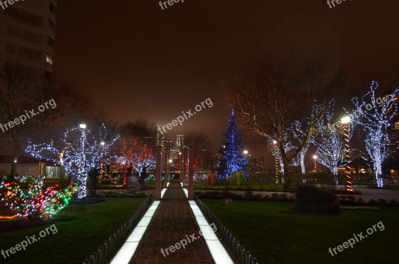 Foggy Mysterious Christmas Lights Free Photos