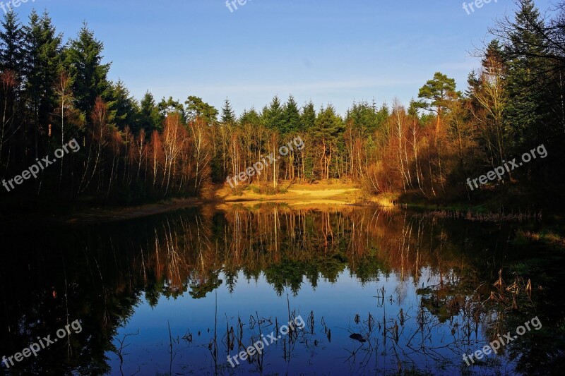 Forest Trees Mood Lake Water