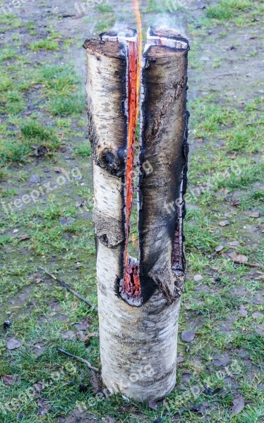 Wood Tribe Birch Fire Log