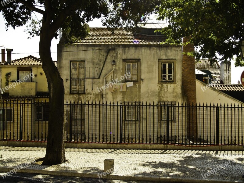 House Portugal Lisbon Trees Houses