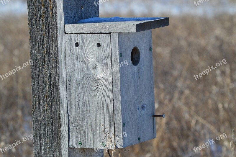 Bird House Prairies Nature Saskatchewan Canada