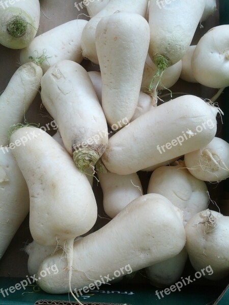 Turnip Vegetables White Turnip Free Photos