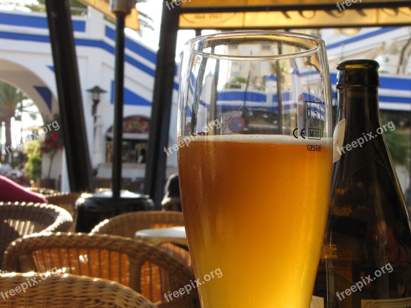 Beer Bottle Drink Brown Glass