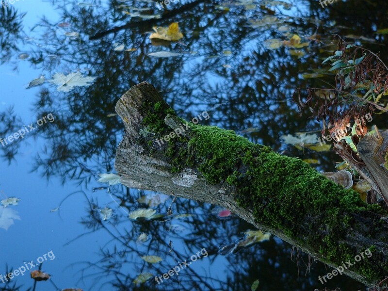 Nature Mood Lake Bank Water