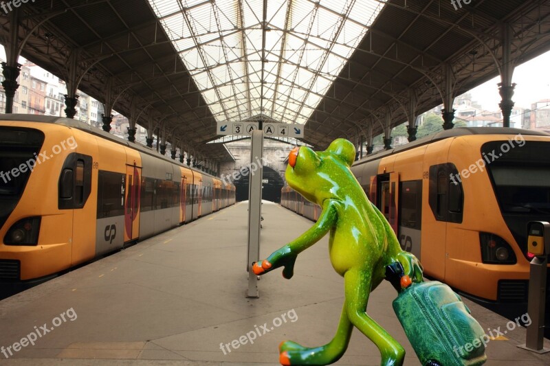 Frog Farewell Travel Funny Railway Station