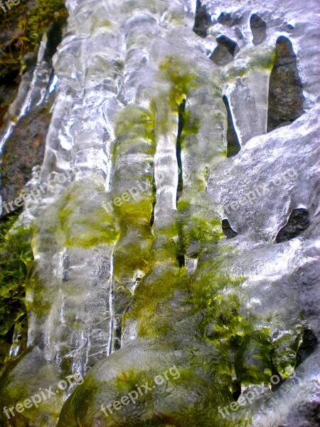 Winter Ice-art Ice Sculpture Natural Art Ice