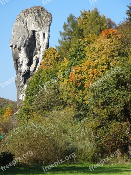 Rock Club Hercules Landscape Nature Tree The National Park