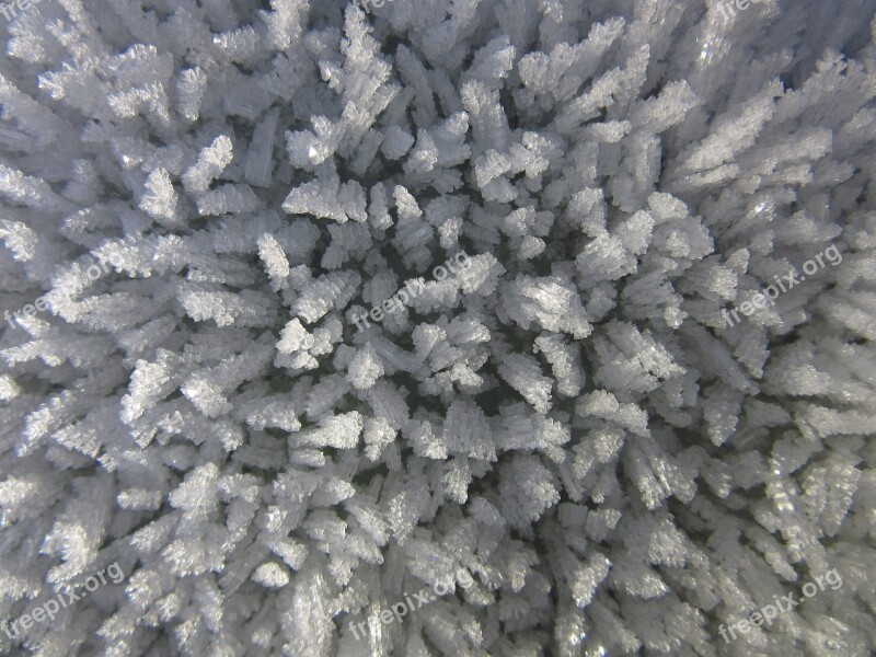 Eiskristalle Ice Hoarfrost Cold Winter