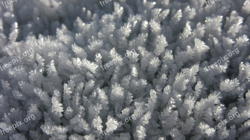 Eiskristalle Ice Hoarfrost Cold Winter