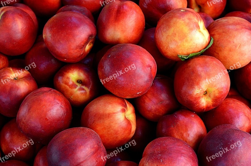 Nectarines Fruit Nature Diet Free Photos