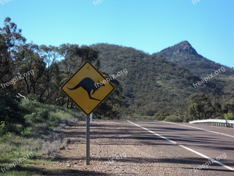 Australia Road Kangaroo Mountain Free Photos