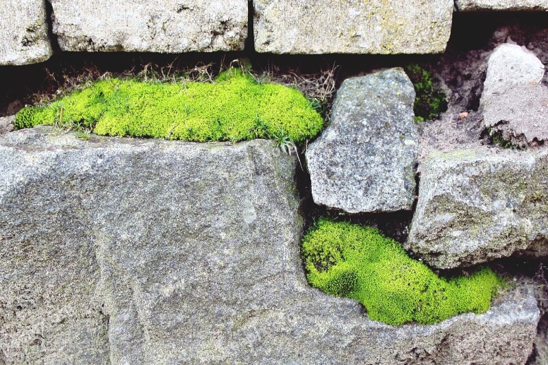 Stone Stone Wall Moss Wall Background