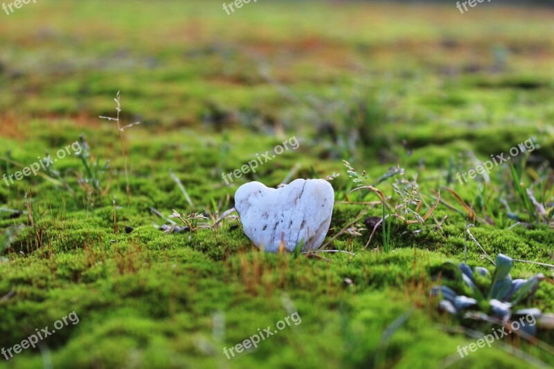 Stone Stone Heart Heart Moss Mossy